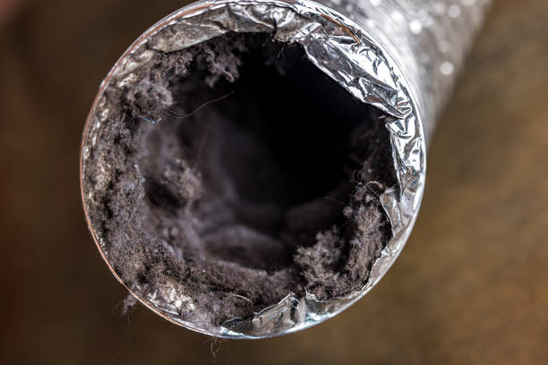 Best Emergency Air Duct Cleaning  in Loyola, CA