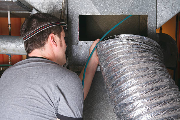 Air Duct Mold Removal in Loyola, CA