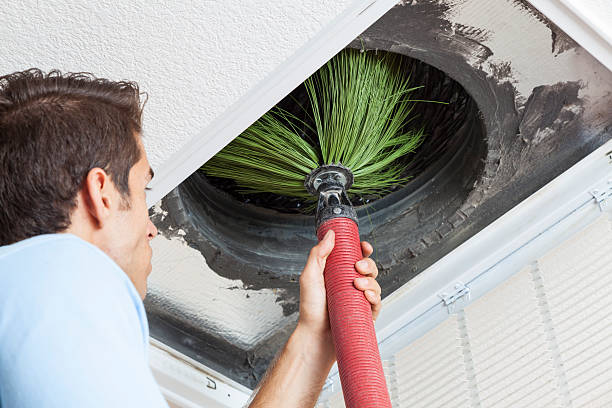 Best Affordable Air Duct Cleaning  in Loyola, CA